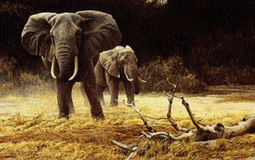 слоны - животние - предпросмотр