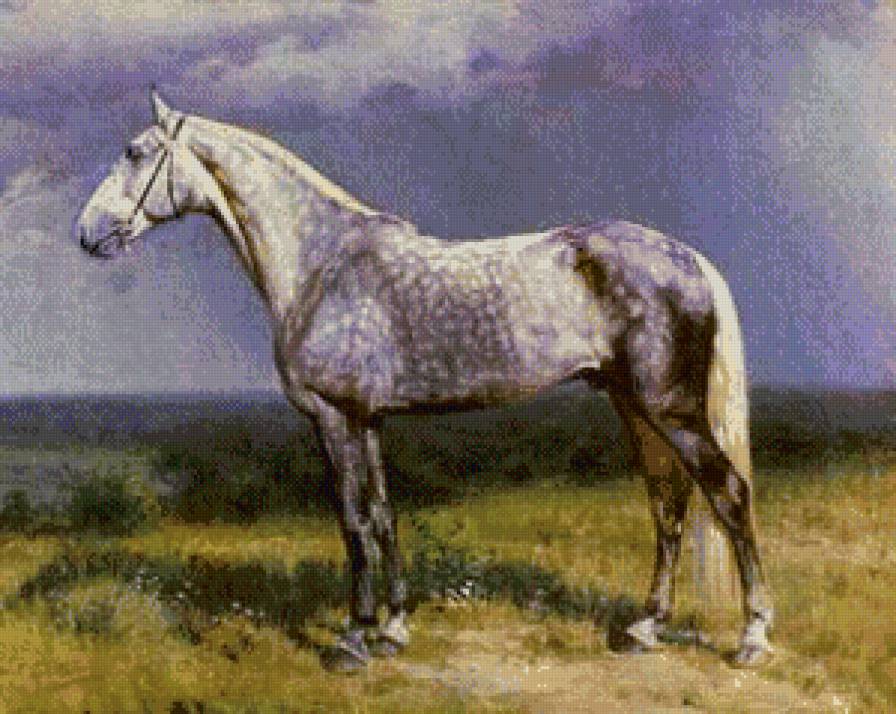 лошади - животние - предпросмотр