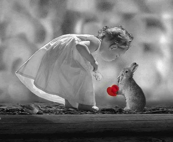 Валентинка - кролик, сердце, дети, валентинка, животные - оригинал