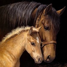 Схема вышивки «мама 2»