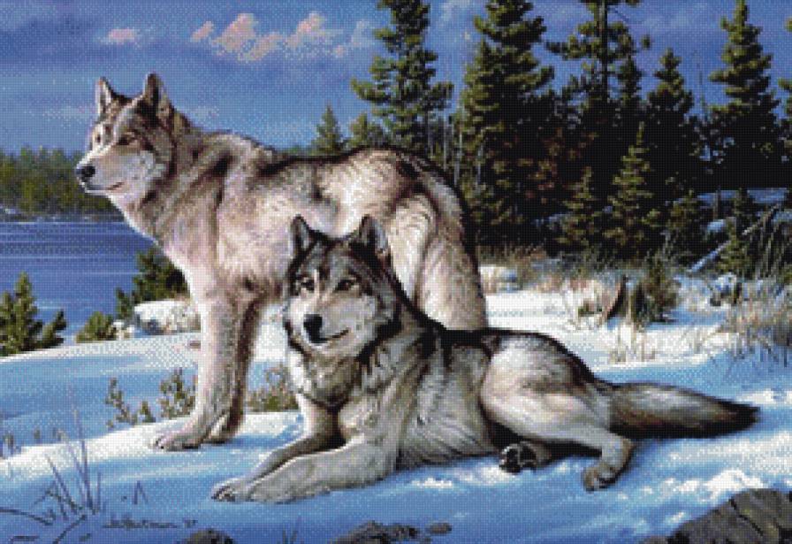 Верность - волки, пара - предпросмотр