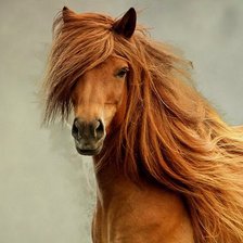 Схема вышивки «Огненная лошадь»