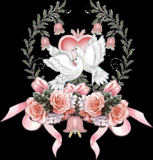 Голуби любви♡♡♡ - оригинал