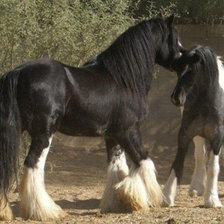 Схема вышивки «привет друг»