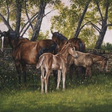 Схема вышивки «лошади»