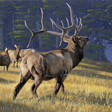 Схема вышивки «Олени»