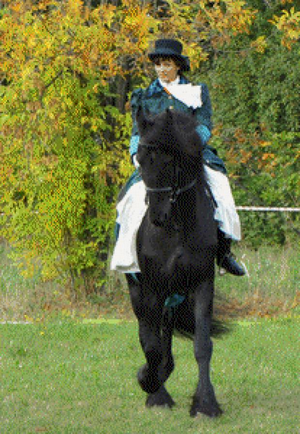 наездница - лошади - предпросмотр