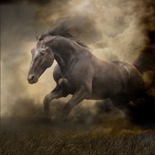 Схема вышивки «лошади»