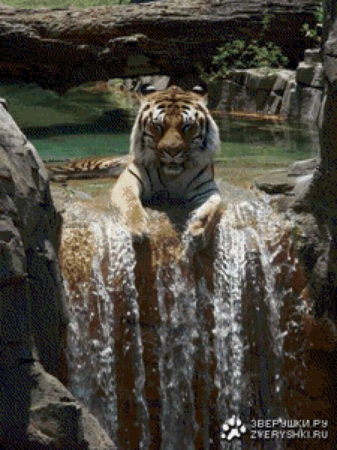 купание - животние - предпросмотр