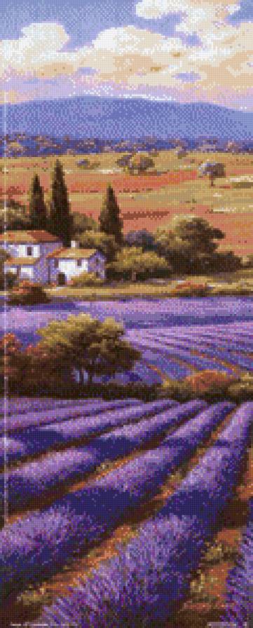 campos de lavanda - предпросмотр