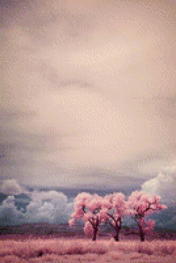 Сакура - сакура, дерево, цветение сакуры - предпросмотр