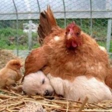 Схема вышивки «малыш я сагрею тибя»