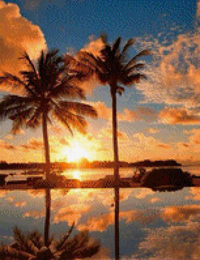 Пальмы - юг, пальмы, деревья - предпросмотр