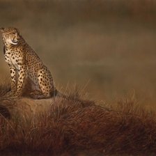 Схема вышивки «№838943»