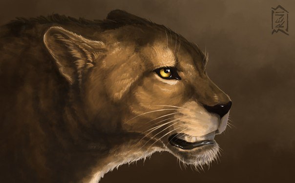 №838945 - оригинал