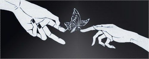 Butterfly - love. - оригинал