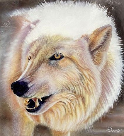 White wolf - арт, волк. - оригинал