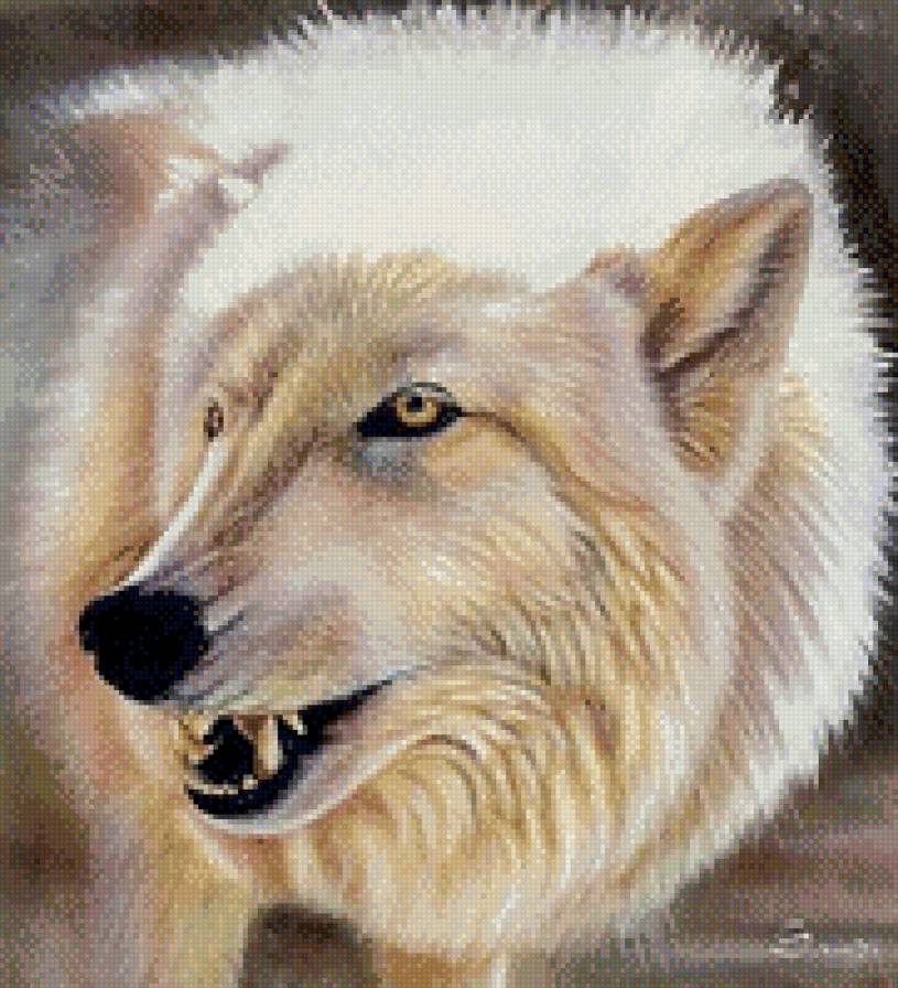 White wolf - волк., арт - предпросмотр