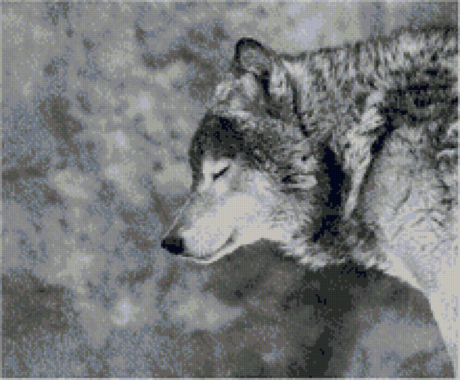 волк - предпросмотр