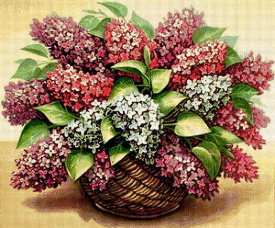 серия "корзины" - корзина.цветы.сирень - предпросмотр