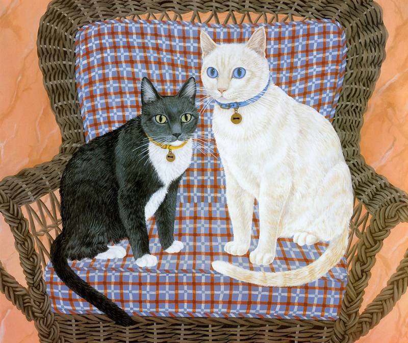 парочка в кресле - котики, коты - оригинал