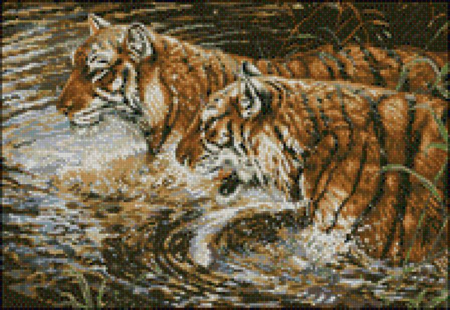 Тигры - предпросмотр