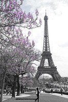 Схема вышивки «Париж»