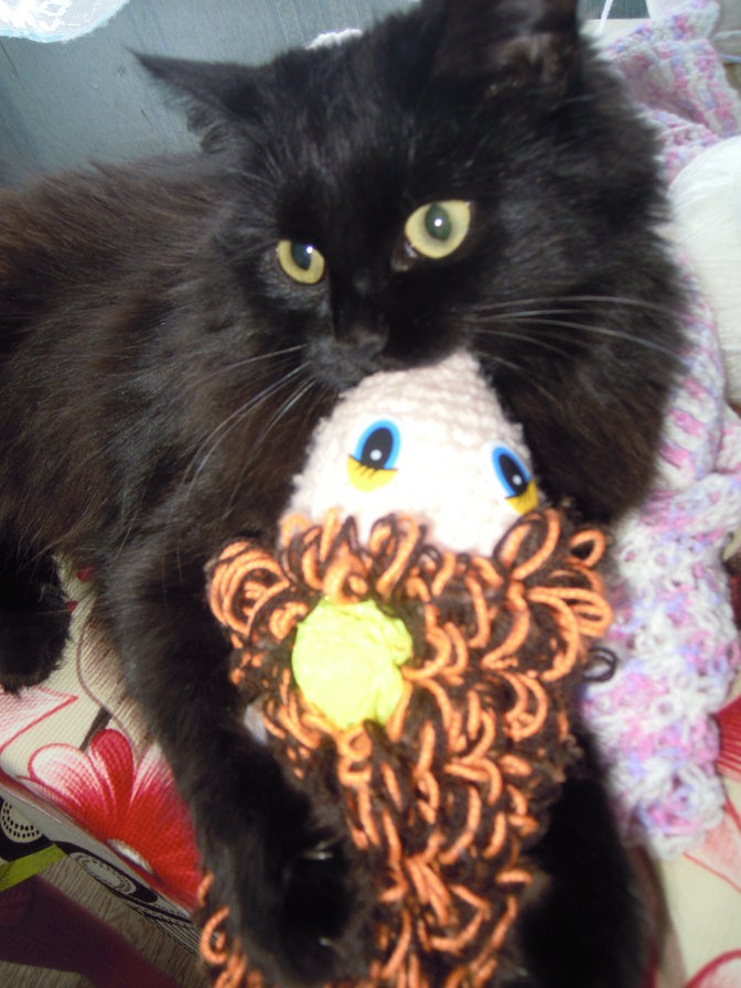 Сонечка - черная кошка - оригинал