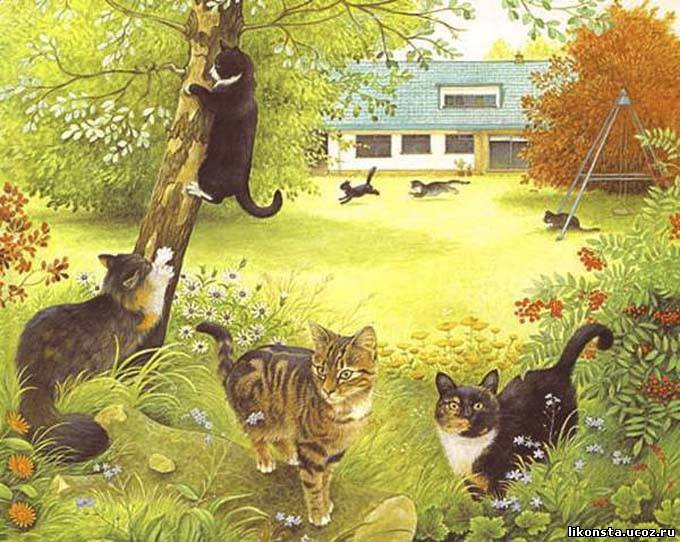 на прогулке - котики, коты - оригинал