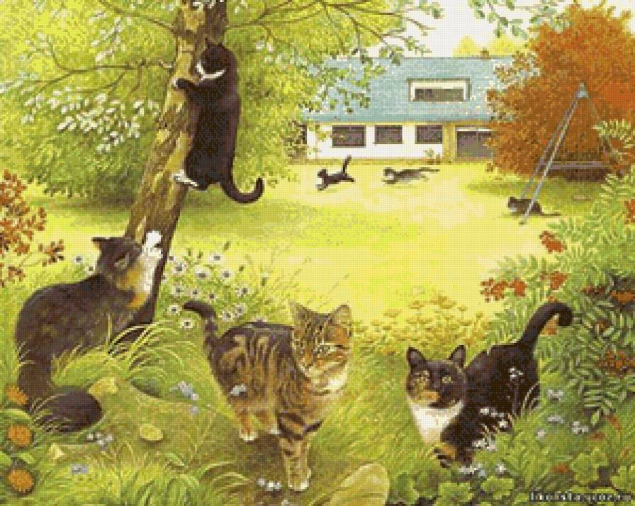 на прогулке - коты, котики - предпросмотр