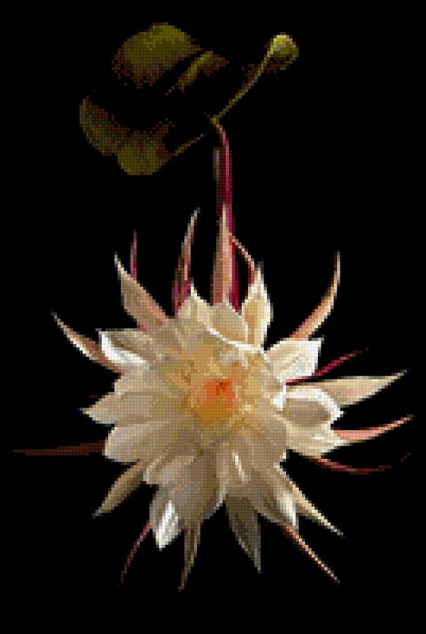 №839943 - предпросмотр