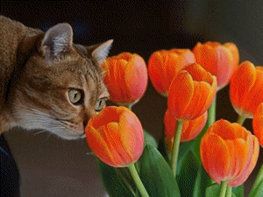 №839994 - предпросмотр