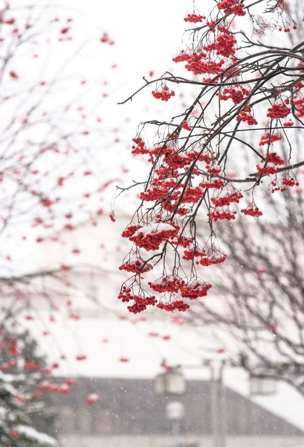 №839999 - оригинал