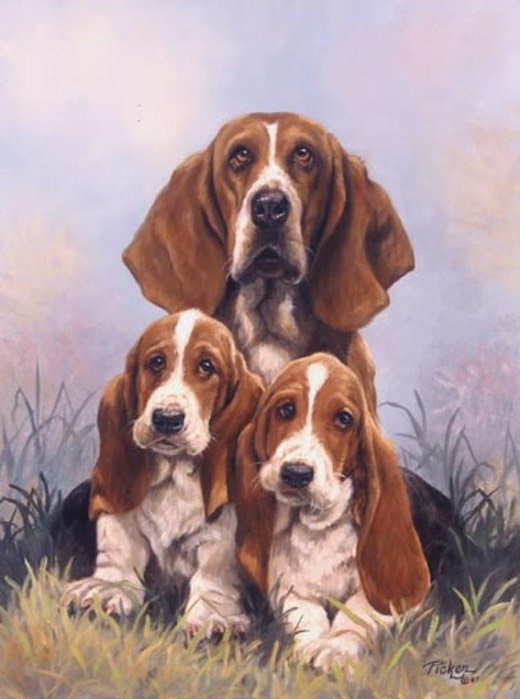 собаки - животние - оригинал