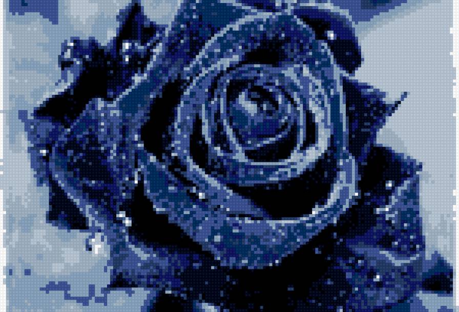 роза - цветок - предпросмотр