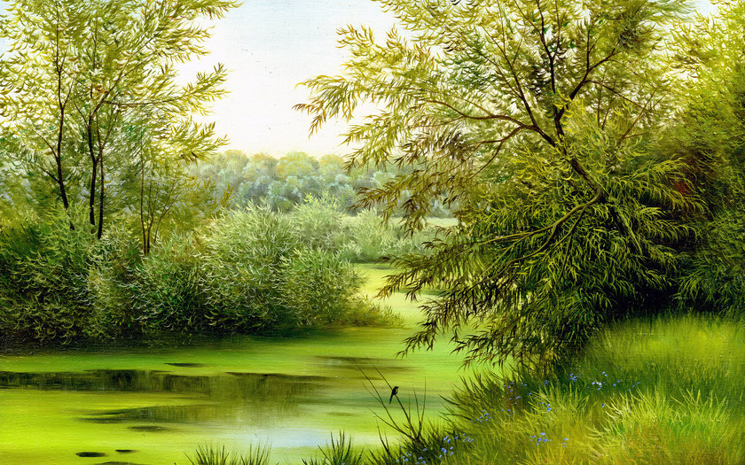 летний пейзаж с рекой - природа, дерево, лес, река, лето, живопись, пейзаж - оригинал