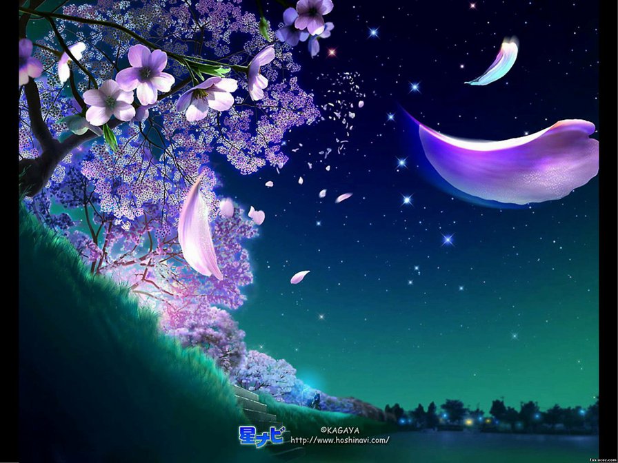 сакура ночью - оригинал
