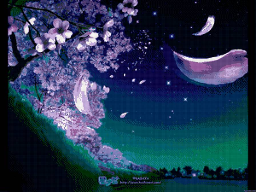сакура ночью - предпросмотр
