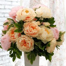 пионы в вазе