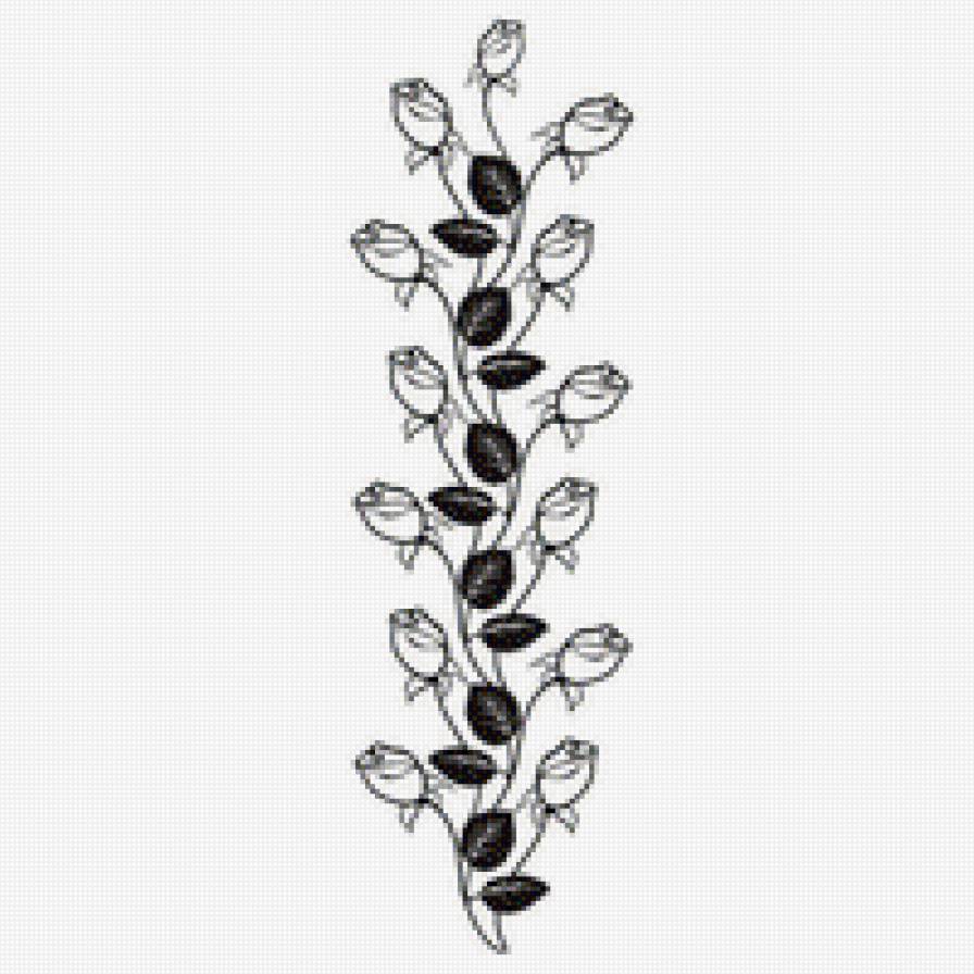 розы - черно-белое - предпросмотр