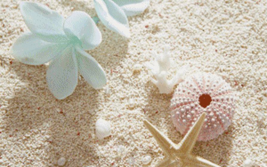 на белом песке - пляж, орхидея, лето, ракушка, пейзаж - предпросмотр