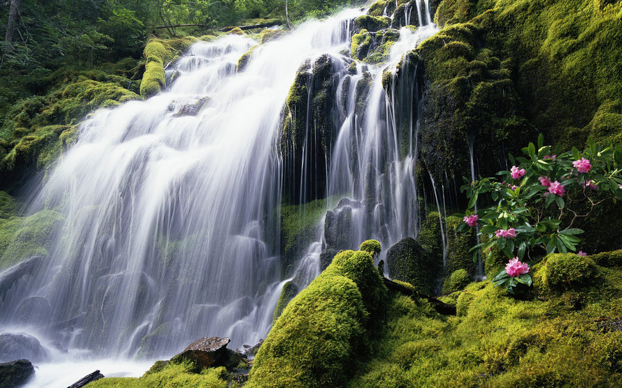 Водопад) - скалы, цветы, водопад, пейзаж, холмы, гора - оригинал