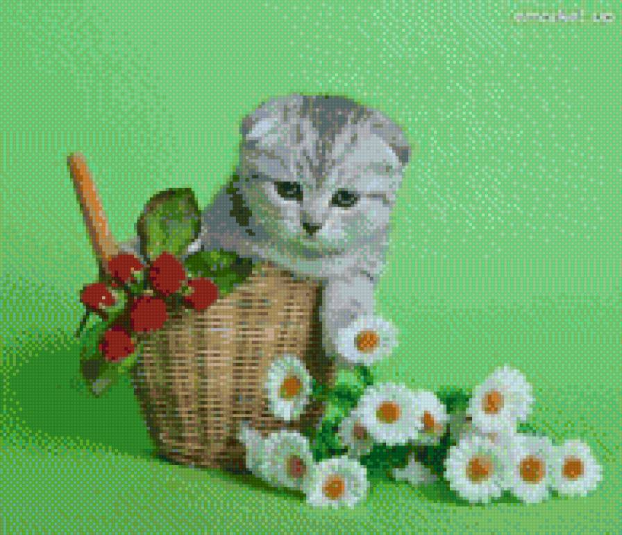 киця - предпросмотр