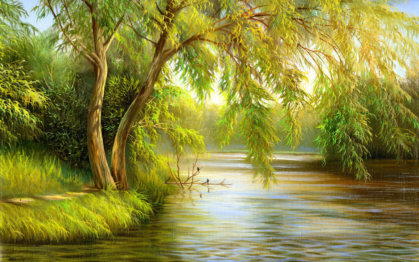 плакучая ива над рекой - природа, река, ива, пейзаж, лето, живопись - оригинал