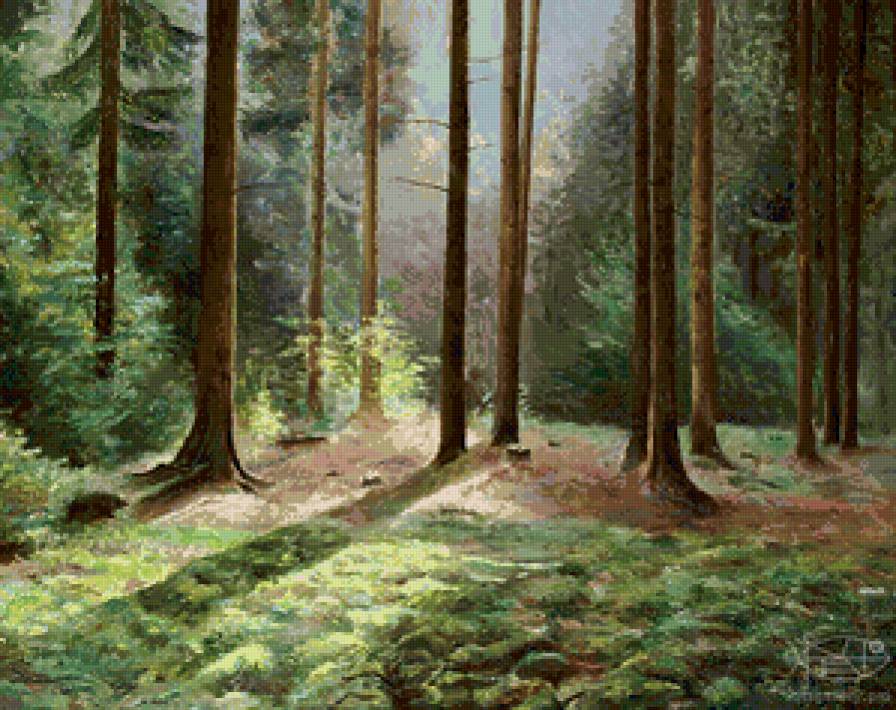в сосновом лесу - лес, тень, лето, живопись, природа, сосны, акварель - предпросмотр