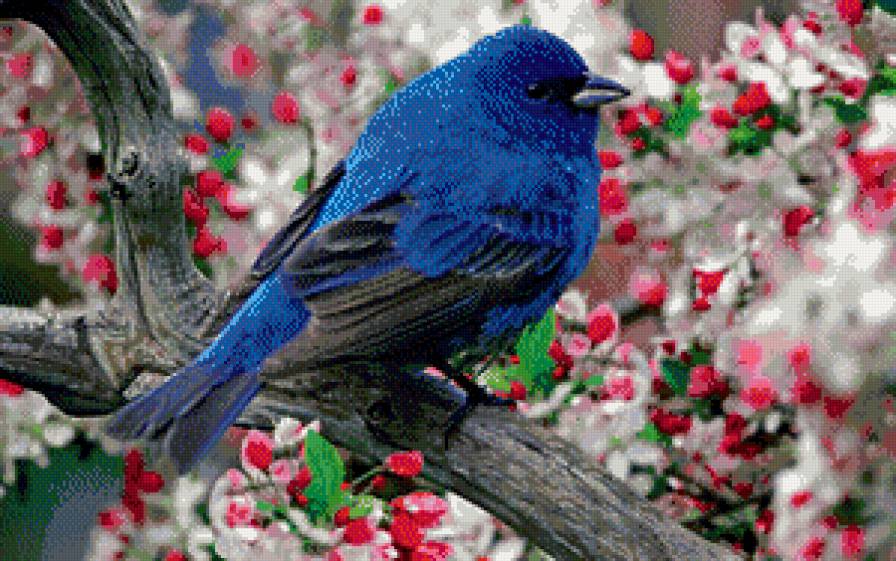 необычная пташка - цветы, птица - предпросмотр