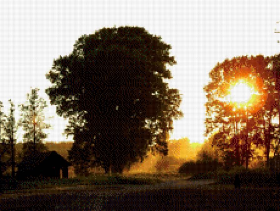 закат в деревне - солнце, дерево - предпросмотр