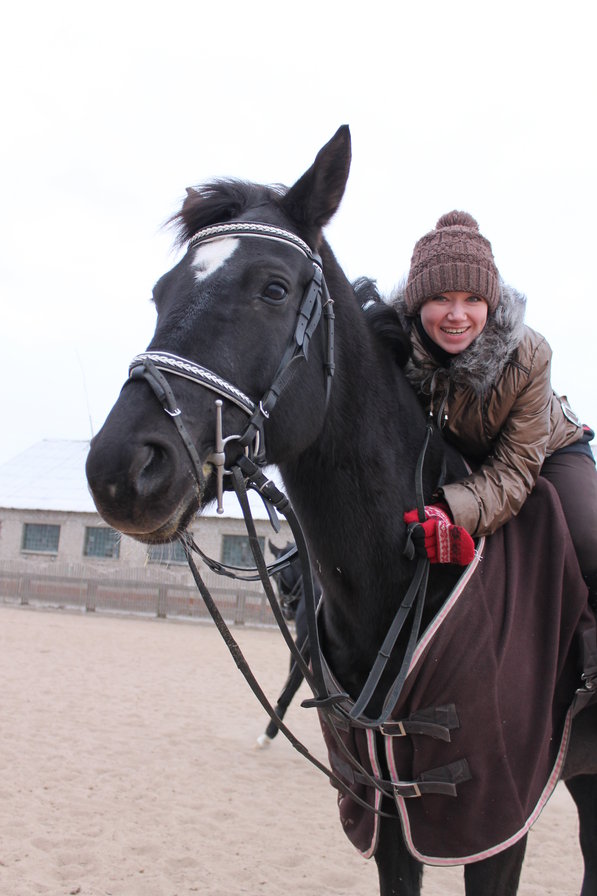 Лошадь Поэзия - люди, вышивка, лошади - оригинал