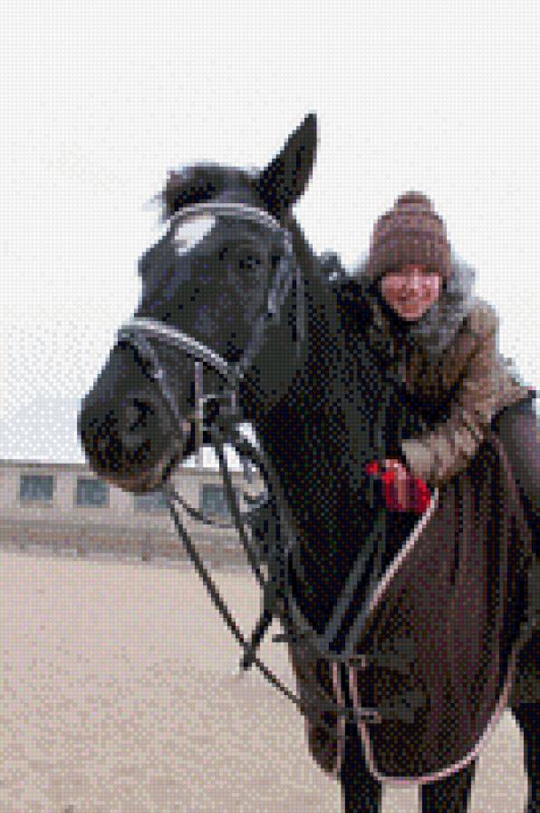 Лошадь Поэзия - лошади, вышивка, люди - предпросмотр