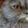 Предпросмотр схемы вышивки «домашний» (№841804)